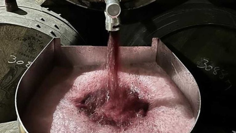 visita-a-bodegas-martinez-lacuesta-05